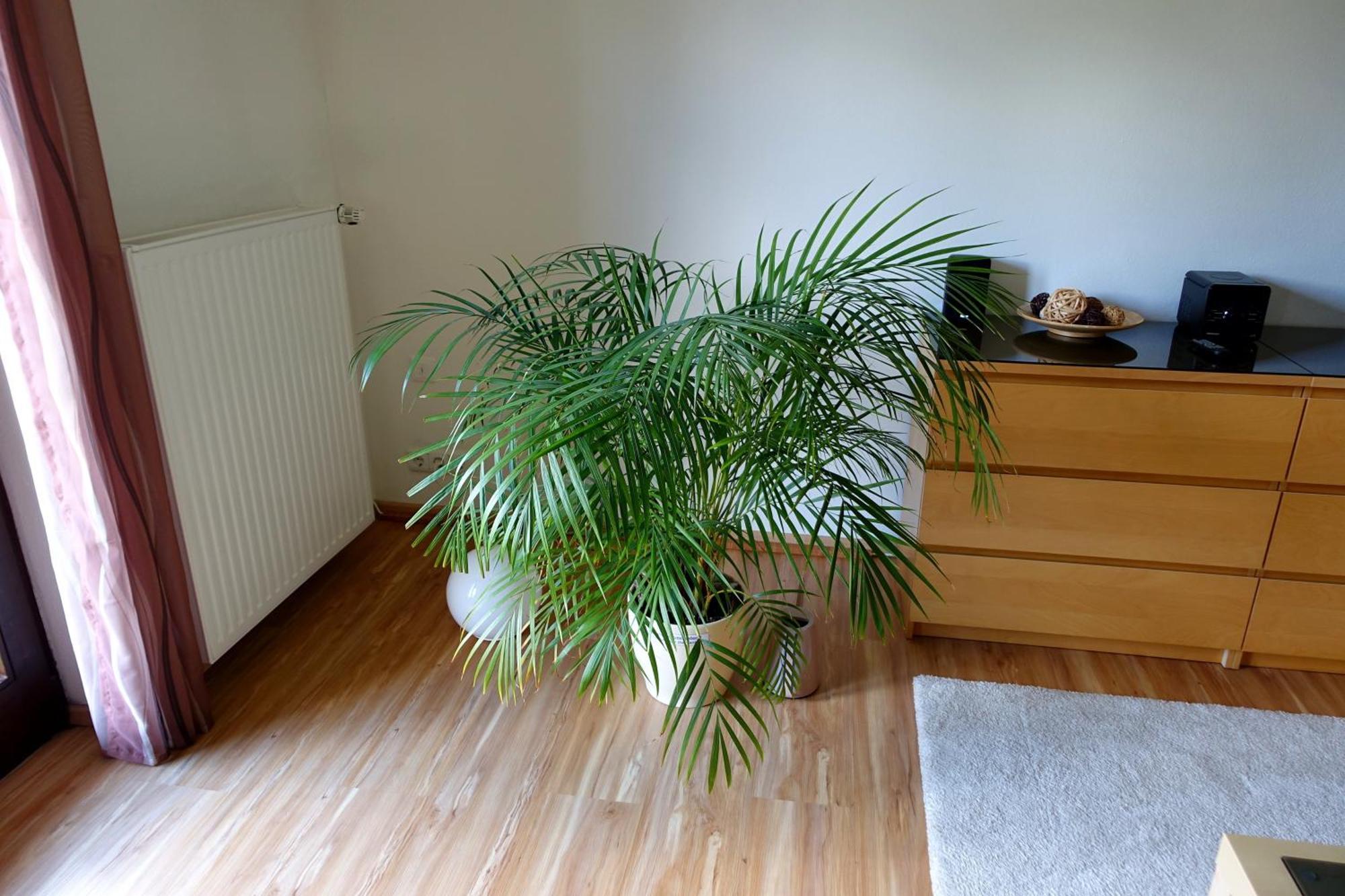 Ferienwohnung Ariane Garmisch-Partenkirchen Ngoại thất bức ảnh